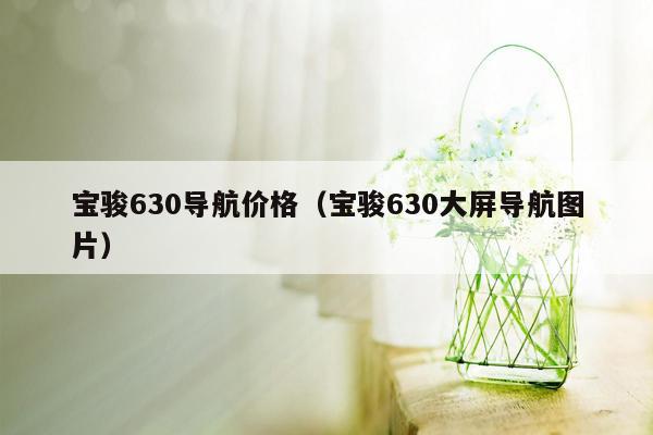 宝骏630导航价格（宝骏630大屏导航图片）