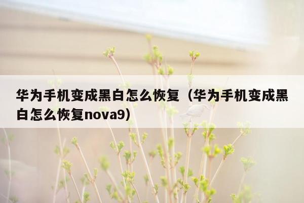 华为手机变成黑白怎么恢复（华为手机变成黑白怎么恢复nova9）