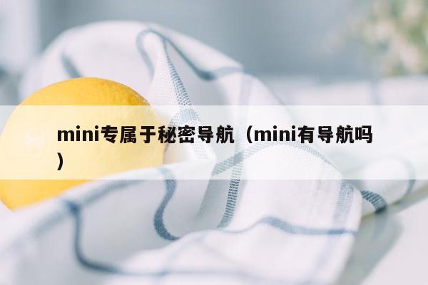 mini专属于秘密导航（mini有导航吗）