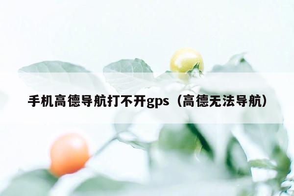 手机高德导航打不开gps（高德无法导航）