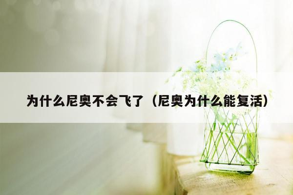 为什么尼奥不会飞了（尼奥为什么能复活）