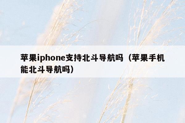 苹果iphone支持北斗导航吗（苹果手机能北斗导航吗）