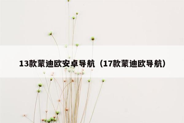 13款蒙迪欧安卓导航（17款蒙迪欧导航）