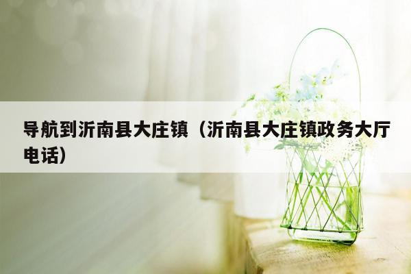 导航到沂南县大庄镇（沂南县大庄镇政务大厅电话）