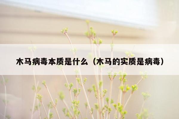 木马病毒本质是什么（木马的实质是病毒）