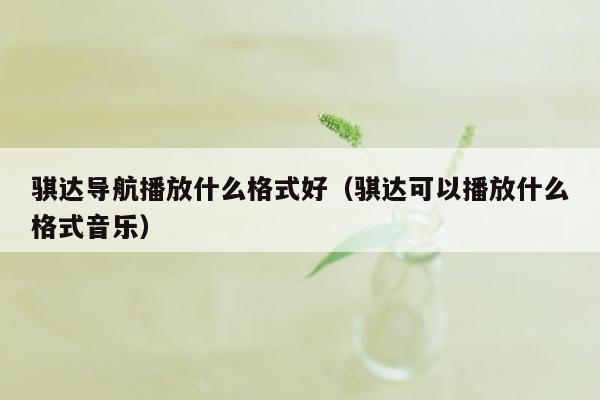 骐达导航播放什么格式好（骐达可以播放什么格式音乐）