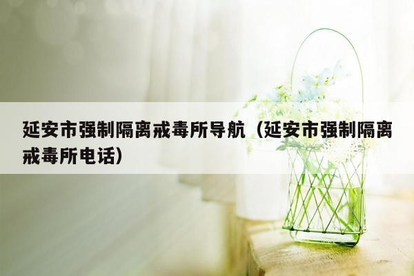 延安市强制隔离戒毒所导航（延安市强制隔离戒毒所电话）