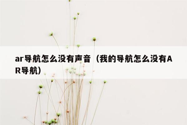 ar导航怎么没有声音（我的导航怎么没有AR导航）