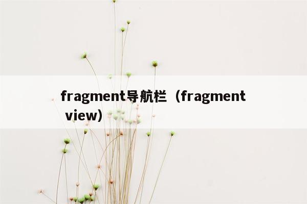 fragment导航栏（fragment view）
