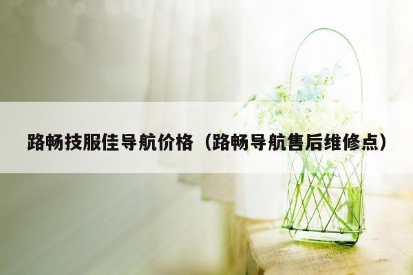 路畅技服佳导航价格（路畅导航售后维修点）