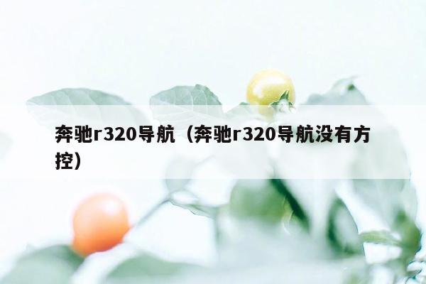 奔驰r320导航（奔驰r320导航没有方控）