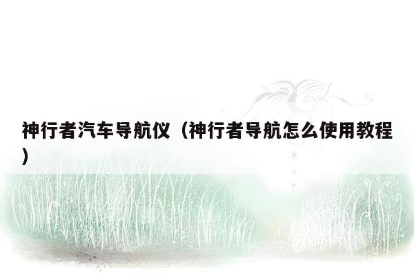 神行者汽车导航仪（神行者导航怎么使用教程）