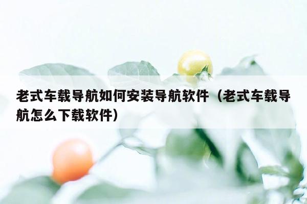 老式车载导航如何安装导航软件（老式车载导航怎么下载软件）