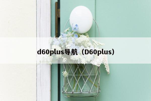 d60plus导航（D60plus）